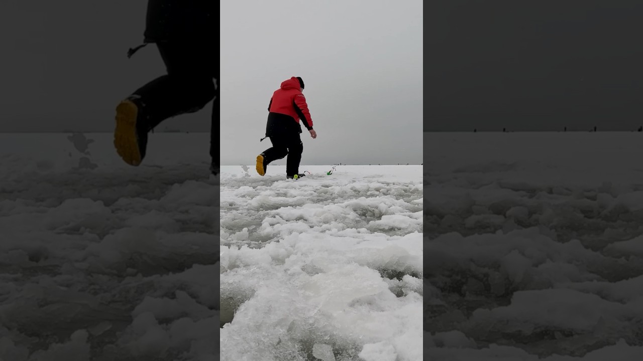 Как потерять пару килограмм за день? Нужно половить корюшку!🥒🥒🥒