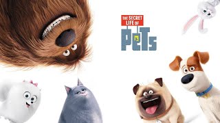 The Secret Life of Pets | Max a Jack Russell Terrier Meets Duke a Large Mongrel