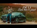 Zsli 2023 x luma them te zhanel  officialclip 4k