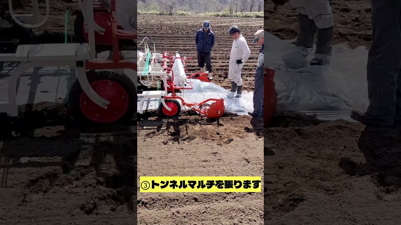 【AGRI-KONPOチャンネル】トンネルマルチの打ち込みから、トンネルマルチ張まで #トンネルマルチ #農業 #farming