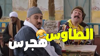 ضحك متواصل بدون فواصل مع | هجرس - حزلقوم - جوني - الكبير - مربوحه - طباظا | 😂😂