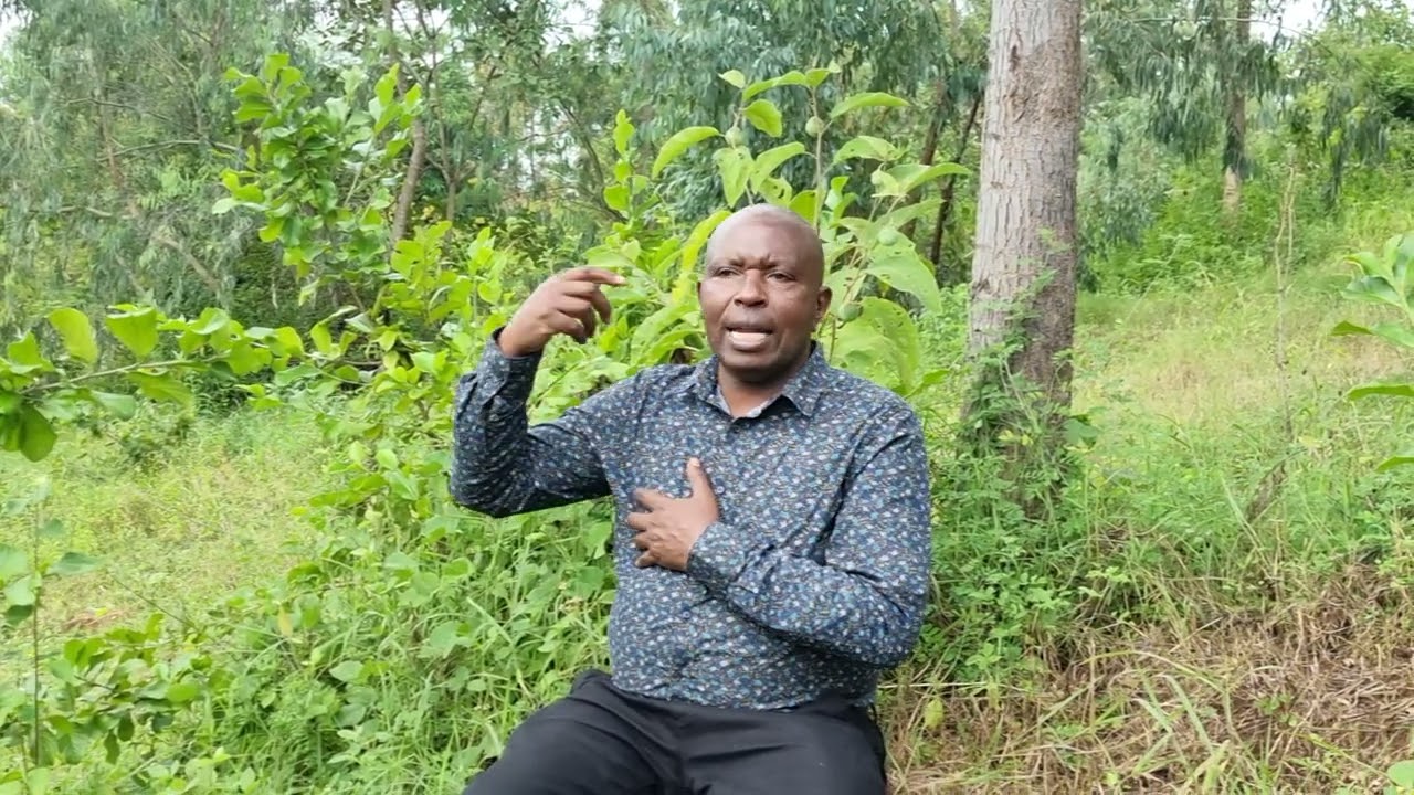 mûirîtu ûrîa ûtarî mûhiku no araacîrio nî arîa ahiku.