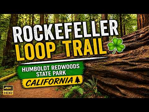 Rockefeller Loop Trail ☘️ | Humboldt Redwoods State Park California 4k 60 Fps