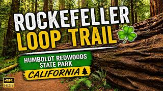 Rockefeller Loop Trail ☘️ | Humboldt Redwoods State Park California 4K 60 FPS