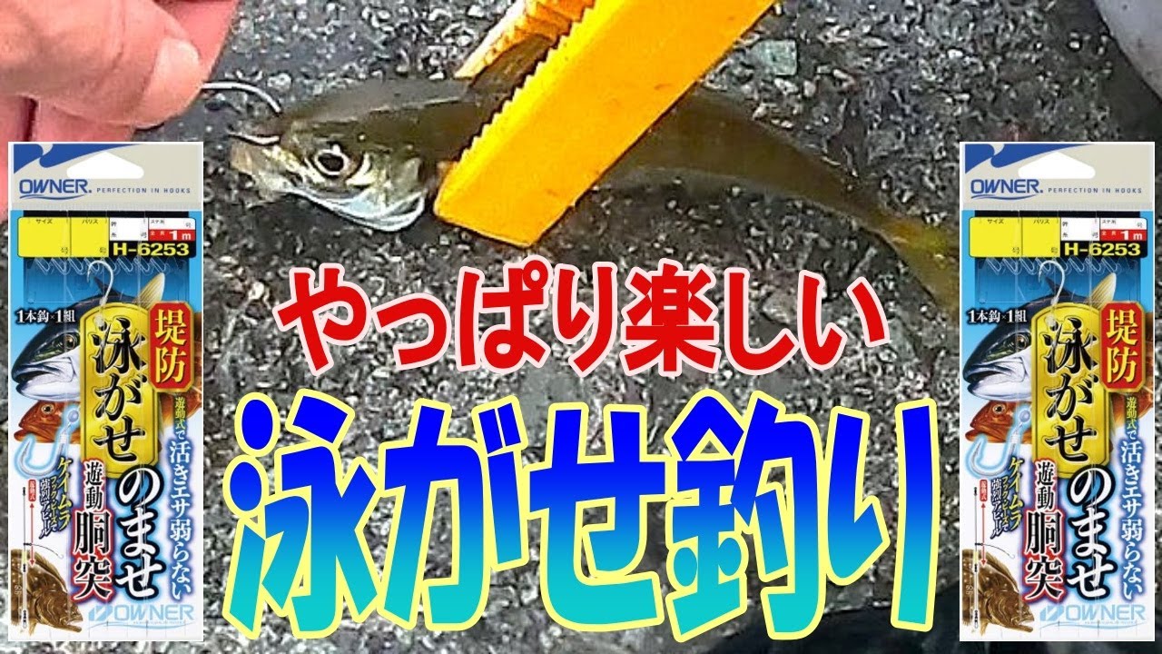 【泳がせ釣り】一生飽きない？この釣りの楽しさを改めて痛感したでござる！〈2024年7月上旬〉