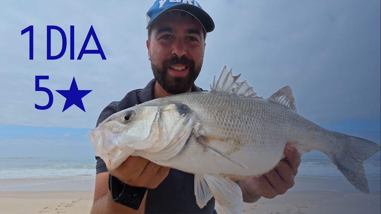 Surfcasting - 1 DIA 5 ★