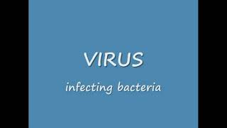 فيروس آكل الجراثيم - بكالوريا علمي A germ-eating virus