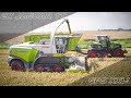 GPS Ernte auf Kette! 2x Claas Jaguar TERRA TRAC  + Axion TT - Thomsenland - JP Agrar