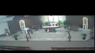 Palm Sunday Of The Passion Of The Lord, Sun. 8:00 AM , Mar. 29, 2026