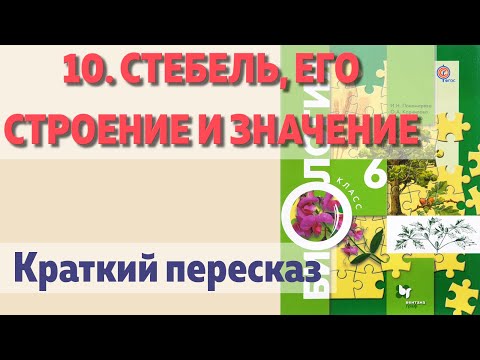 10. Стебель, его строение и значение. Биология. 6 класс - Пономарева. Краткий пересказ.