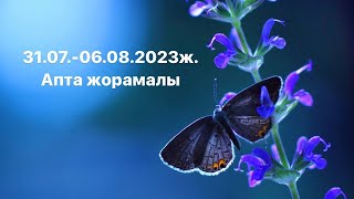 31.07-06.08.2023ж. Апта жорамалы. Барлық жұлдыз белгісінде туылған жандар үшін таро жорамалы.