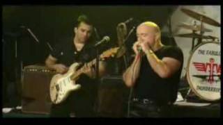 Video thumbnail of "Fabulous Thunderbirds - I believe I'm in love"