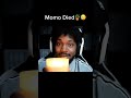 CoryxKenshin&rsquo;s plant Momo died 😔