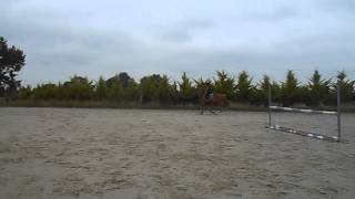 Entrainement CSO Univers ♥