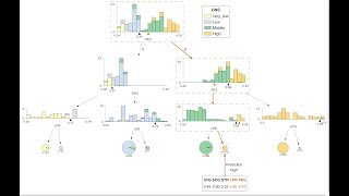 The visual interpretation of decision trees w/ Terence Parr
