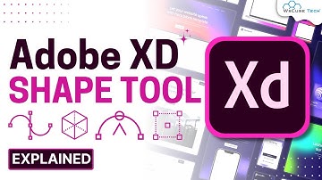 How to Use Ellipse, Circle, Triangle, Polygon & Line in Adobe XD? | Adobe XD Tutorial for Beginner