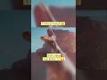 Rexy Mario Galaxy movie #memes #funny