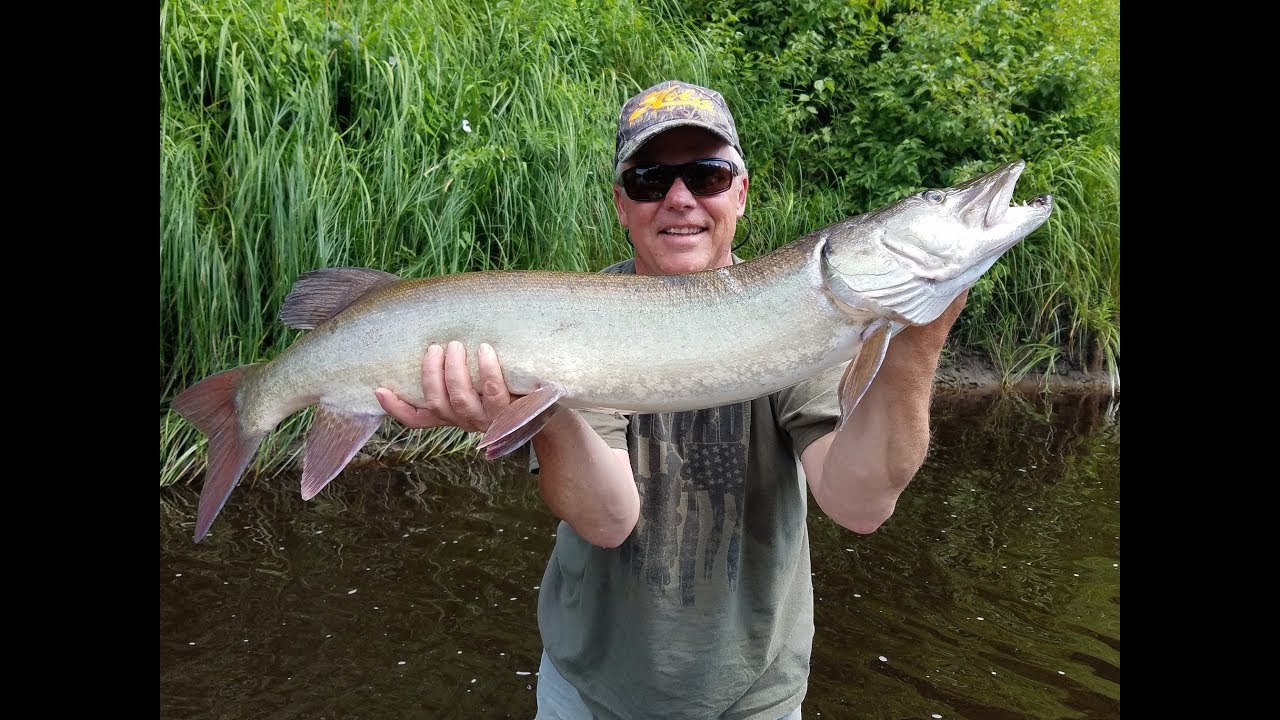 River Musky Adventure II YouTube