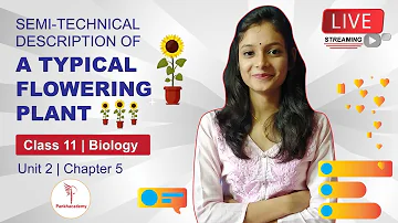 SEMI-TECHNICAL DESCRIPTION OF A TYPICAL FLOWERING PLANT class 11th lecture 5