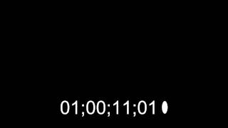 30fps Time Code