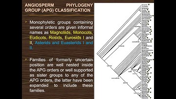 APG System of Classification