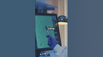 AI Discovers Parallel Universe Signature! NASA Stunned!