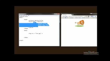 How to Center an Image in HTML (3 Easy Ways) #HTML #CSS #WebDevelopment