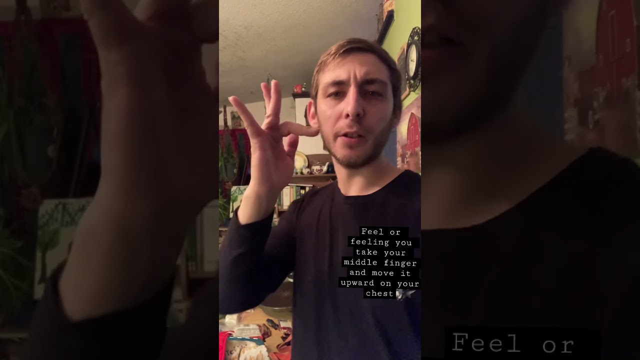 Feel or Feelings in Sign Language 