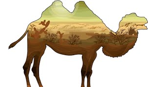 Coloring a Camel 🐪 ( One of my favorite Animals)!!! screenshot 3