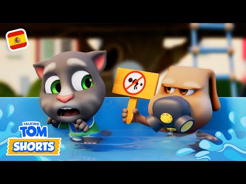 Indisciplina en la piscina 💦🚫 Cortos de Talking Tom
