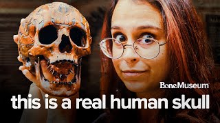 12 Unique Artifacts You Must See In The Bone Museum