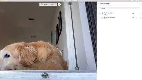 Participant Guide to WebEx Meetings