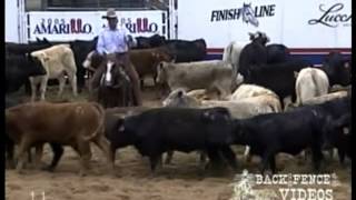 WR This Cats Smart - NCHA World Finals