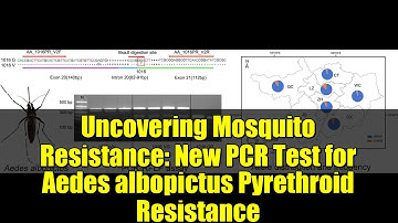 Uncovering Mosquito Resistance: New PCR Test for Aedes albopictus Pyrethroid Resistance