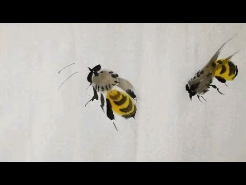 5.4.1不同形态蜜蜂画法2，蜜蜂，草虫，花鸟鱼虫，国画快速入门