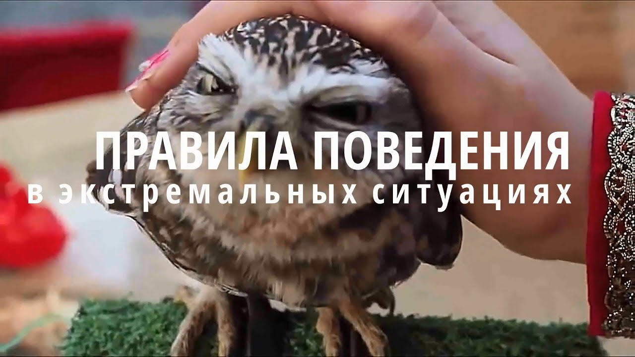 Правила поведения в экстремальных ситуациях