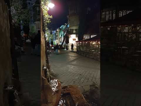 Tbilisi Tbilisi Georgia Travel Shorts