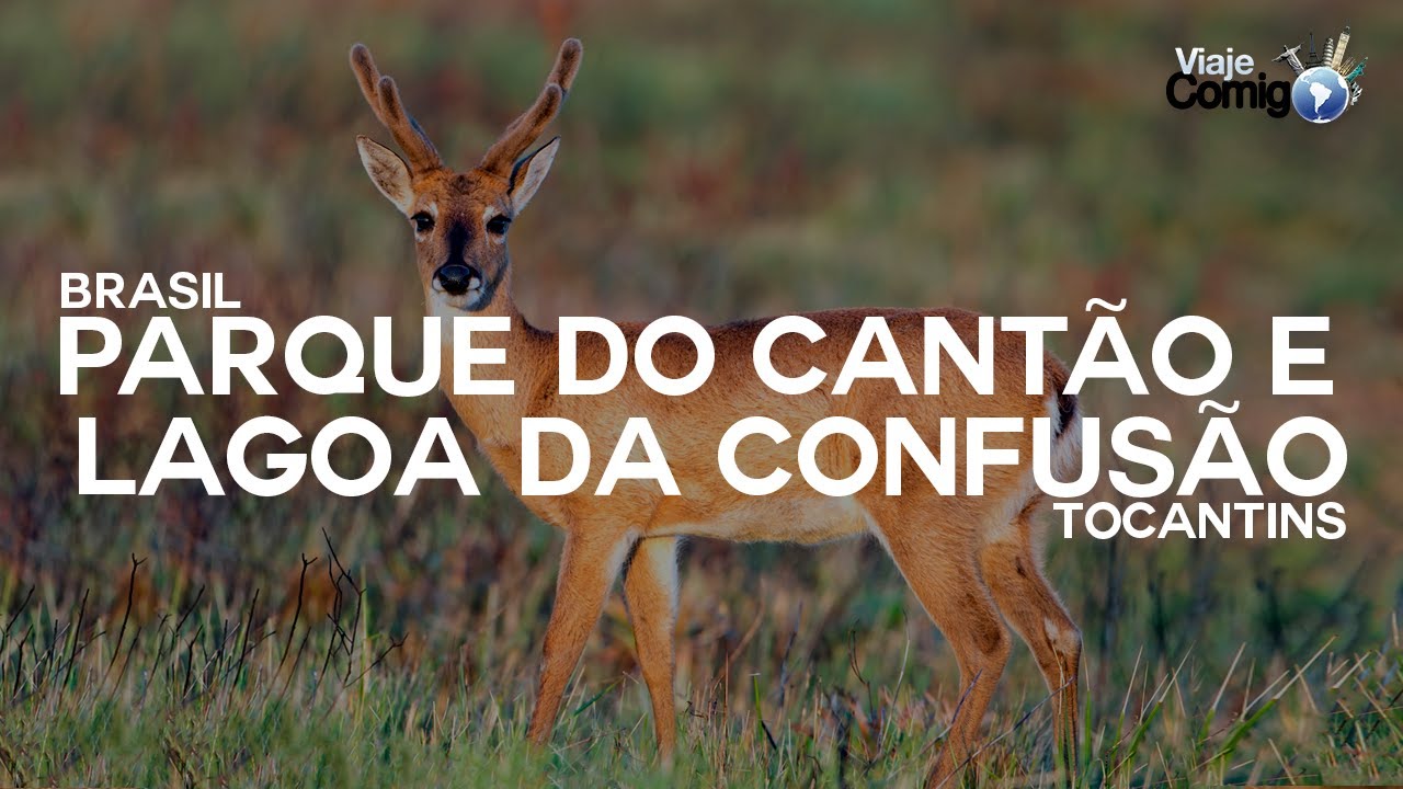 PARQUE DO CANTÃO E LAGOA DA CONFUSÃO - TOCANTINS | BRASIL | Série Viaje Comigo