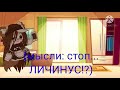 я и личинус #1