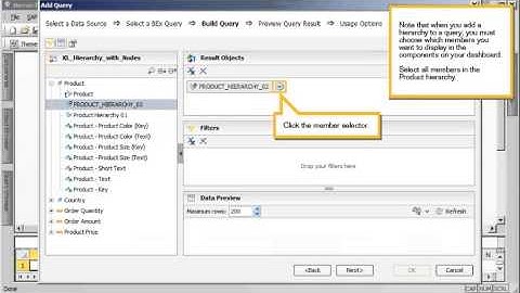 23 Connect to an SAP BW BEx query using the Query Browser  Dashboards 4 0 FP3