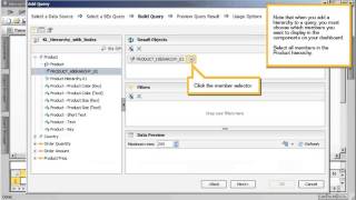 23 Connect to an SAP BW BEx query using the Query Browser  Dashboards 4 0 FP3