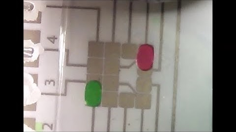 Movie 1-1 Automated EWOD / Digital microfluidics (Splitting, double droplet transport, high speed)