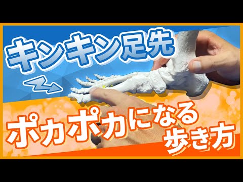 講師：宜野座安雄】“触れる”だけであらゆる症状を改善させる『統括治療