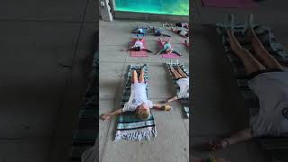 Dolphin Family and Kids Yoga at CMA!