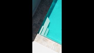 Concrete Pool Renovation | Project Roseville Highlights
