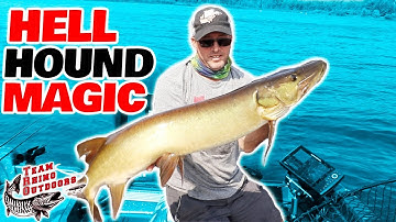 Hell Hound Magic - Musky Fishing