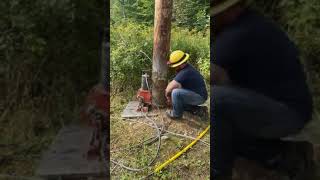 Tiiger Pole Puller: in action