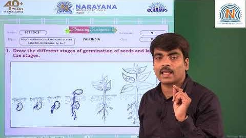 29TH JUL PAN INDIA CLASS V SCIENCE ASSIGNMENT 9 KEY