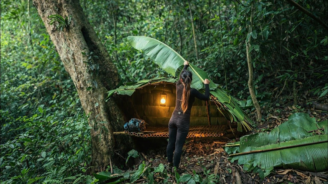 Building a shelter from forest leaves, the girl survives alone in the ...