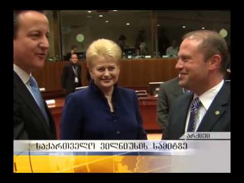 საქართველო ვილნიუსის სამიტზე
